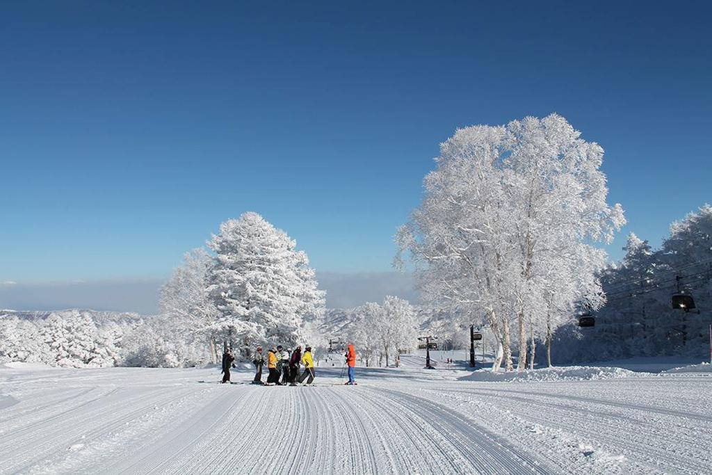 ホテル 和風ペンションみやざわ 野沢温泉村 エクステリア 写真